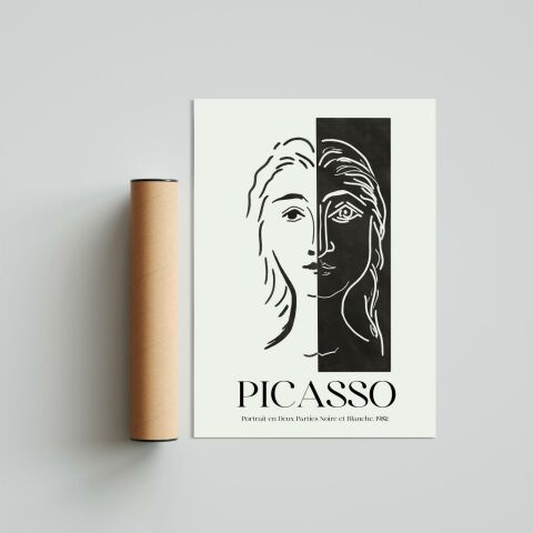 Picasso 9