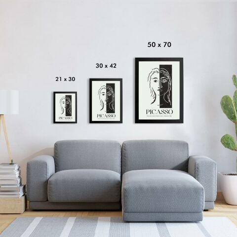 Picasso 9