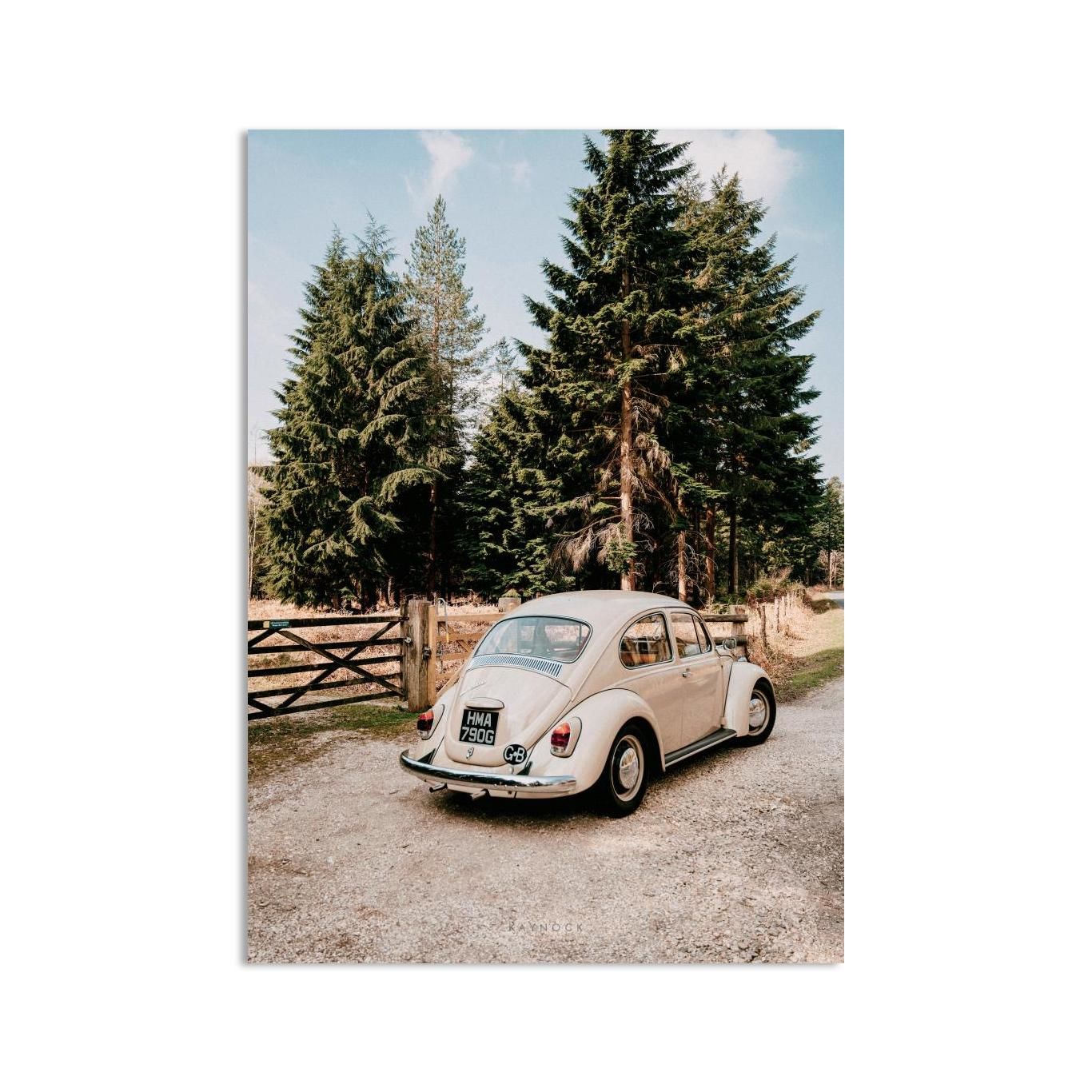 Beetle