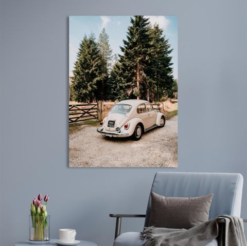 Beetle