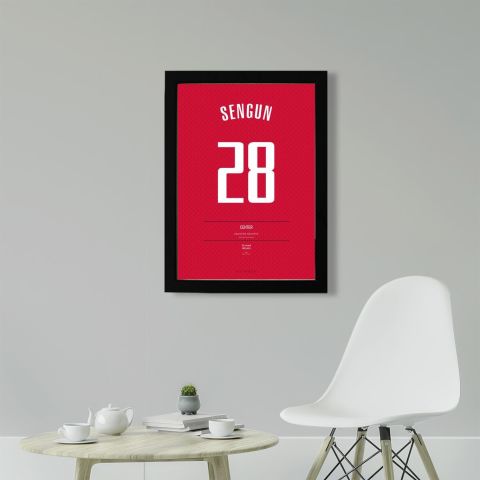 Alperen Şengün Jersey