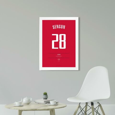 Alperen Şengün Jersey