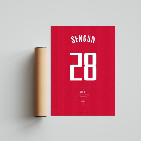 Alperen Şengün Jersey