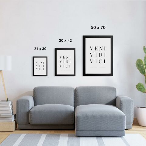 Veni Vidi Vici Poster Tablo