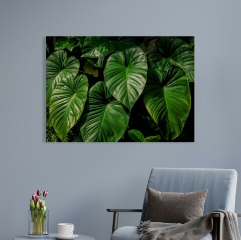 Leafs of Denpasar