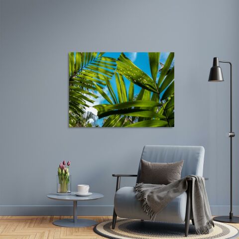 Leafs of Canggu