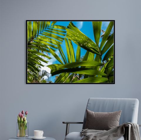 Leafs of Canggu
