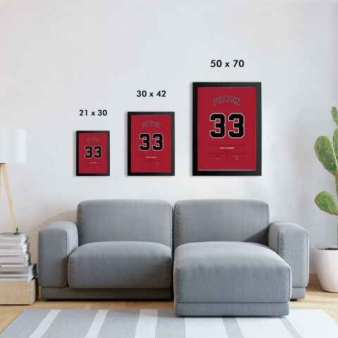 Scottie Pippen Jersey