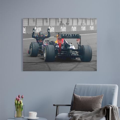 Sebastian Vettel RB9 Kanvas Tablo