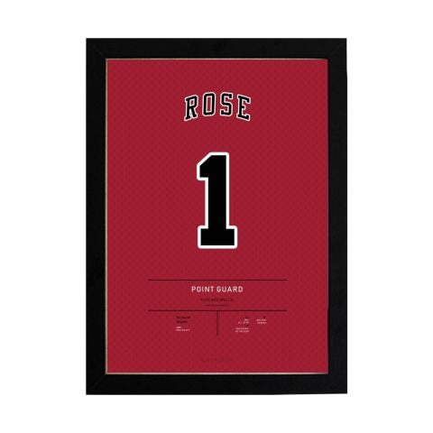 Derrick Rose Jersey