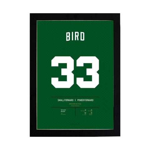 Larry Bird Jersey