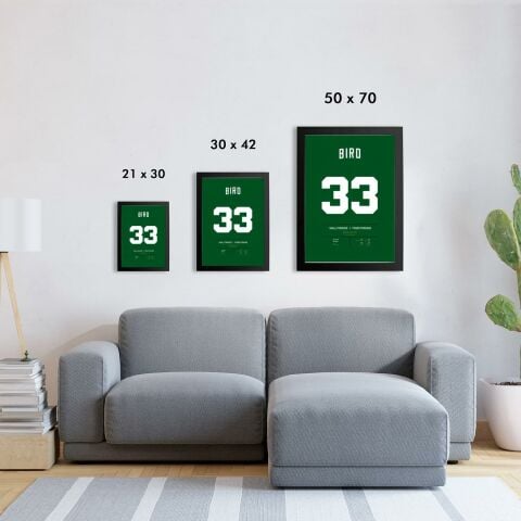 Larry Bird Jersey