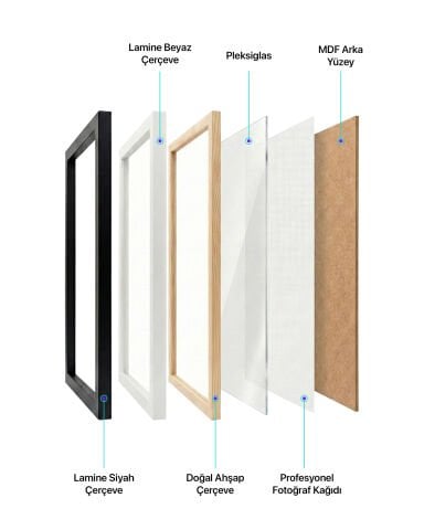 Andy Murray, Tenis Poster Tablo