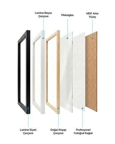 Novak Djokovic, Tenis Poster Tablo