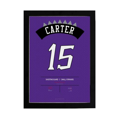 Vince Carter Forma Poster Tablo