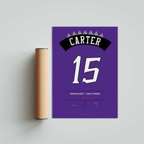 Vince Carter Forma Poster Tablo