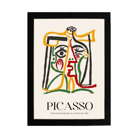 Picasso 3