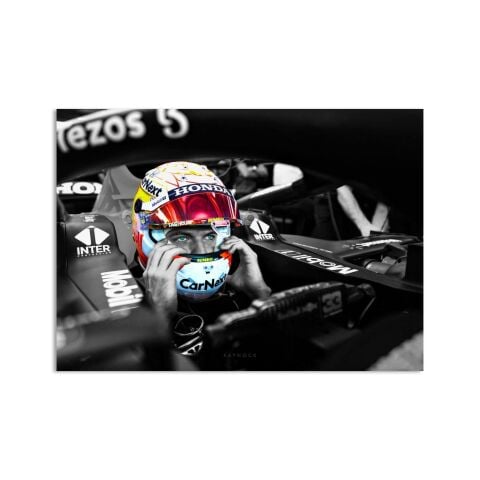 Max Verstappen Kanvas Tablo