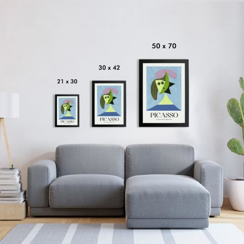 Picasso 5