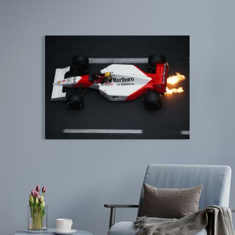 Ayrton Senna, Formula 1 Kanvas Tablo